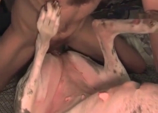 Horny dude fucking his slutty hound