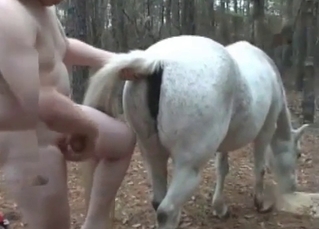 White horse getting railed by a chubby dude